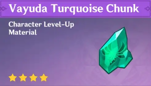 Vayuda Turquoise Chunk