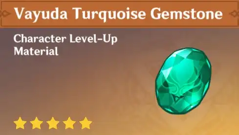 Vayuda Turquoise Gemstone