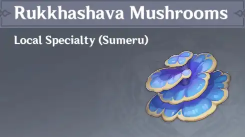 Rukkhashava Mushrooms