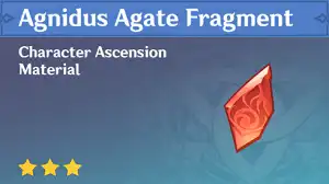 Agnidus Agate Fragment