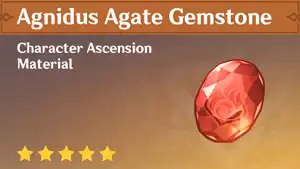 Agnidus Agate Gemstone