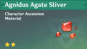 Agnidus Agate Sliver